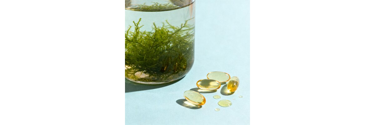 Omega-3 pflanzlich aus Algen – Warum immer mehr Menschen umsteigen - Omega-3 Algen 2026: Pflanzliche Alternative erklärt