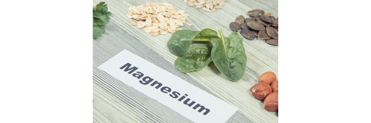 Welche Vitamine und Mineralstoffe unterstützen den Energiestoffwechsel im Alltag? - Energiestoffwechsel unterstützen 2026 – Vitamine &amp; Mineralstoffe