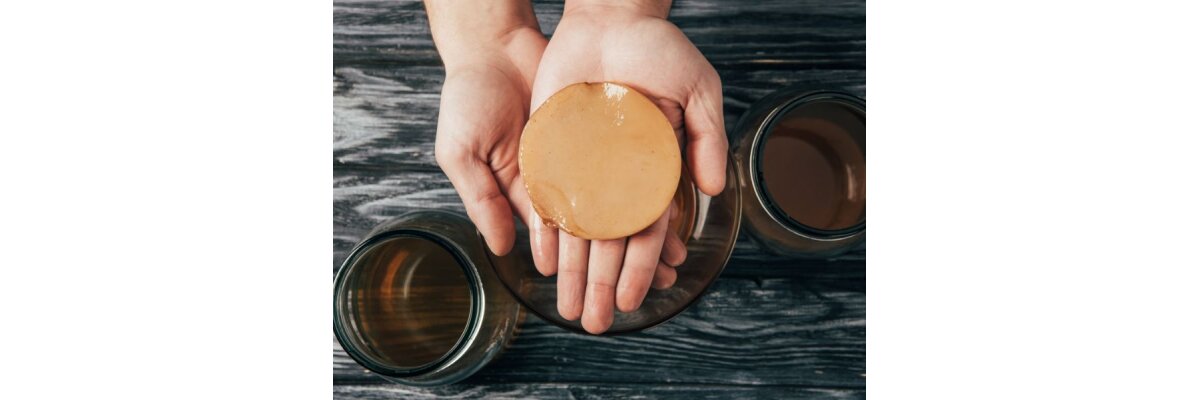 Interessante Fakten über Kombucha - Interessante Kombucha Fakten