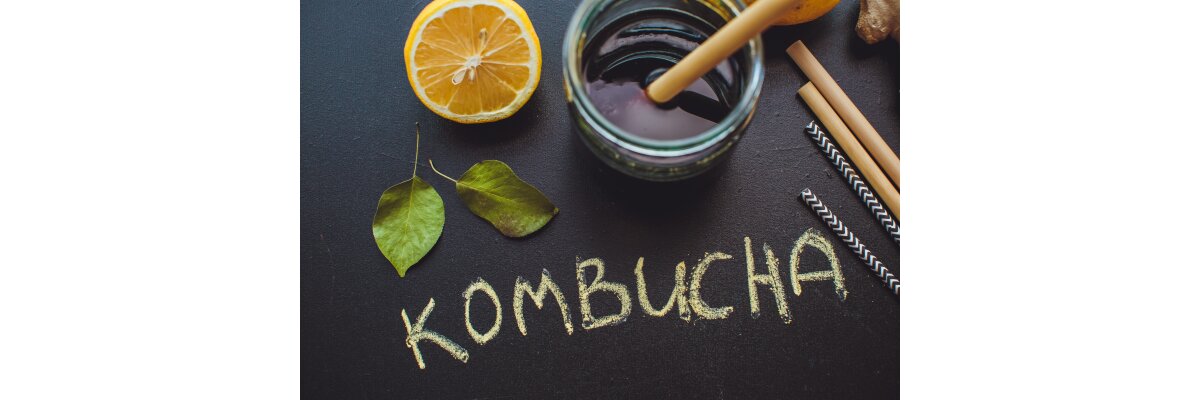  Funktionen von Kombucha - Die Funktionen von Kombucha