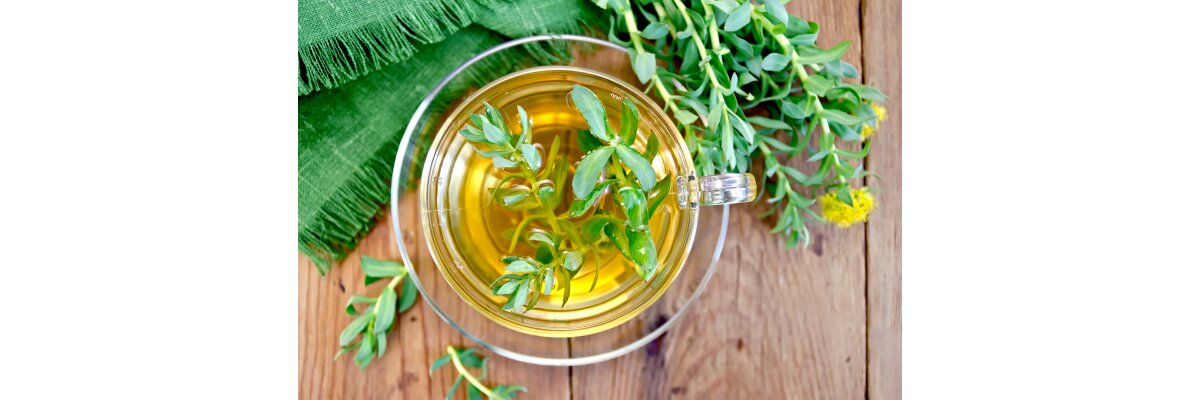 Rhodiola Rosea: Die natürliche Unterstützung - Die natürliche Unterstützung - Rhodiola Rosea