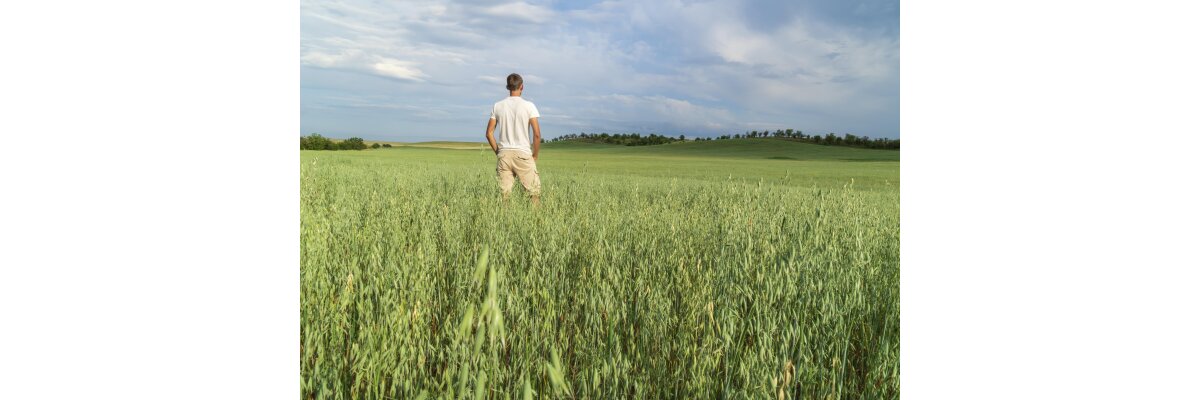 Avena Sativa: Die vielseitige Pflanze für Ihr Wohlbefinden - Vielseitige Anwendung von Avena Sativa: Ihr Schlüssel zum Wohlbefinden