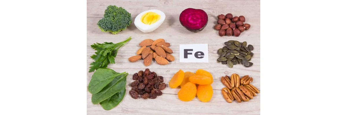 Eisen – Wie dieser essentielle Nährstoff zu deinem Wohlbefinden beiträgt - Eisen &amp; Vitamin C Tabletten – 120 Stück für Eisenaufnahme und Immunstütze