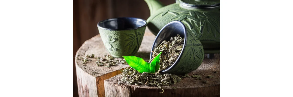 Grüner Tee Kapseln vs. grüner Tee als Getränk - Grüner Tee Kapseln – Hochdosiert &amp; ohne Koffein