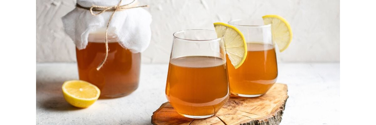 Kombucha ein Pilz der was kann - Kombucha unterstützt sie bei ihren Gesundheitszielen 