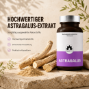Astragalus Kapseln - 90 Kapseln - für das Immunsystem und Wohlbefinden