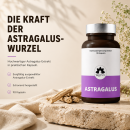 Astragalus Kapseln - 90 Kapseln - für das Immunsystem und Wohlbefinden
