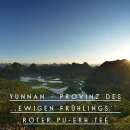 Roter Tee Kapseln